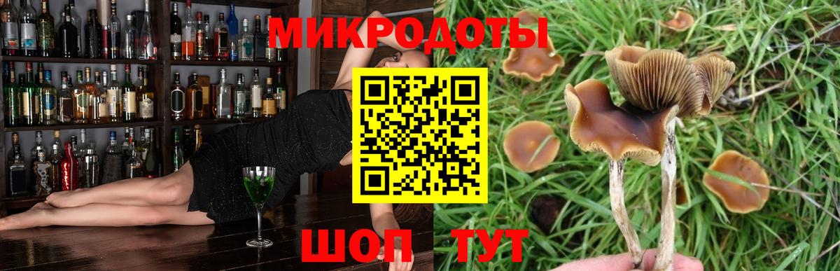 Псилоцибиновые грибы Psilocybine cubensis  Вход с VPN  Похвистнево 
